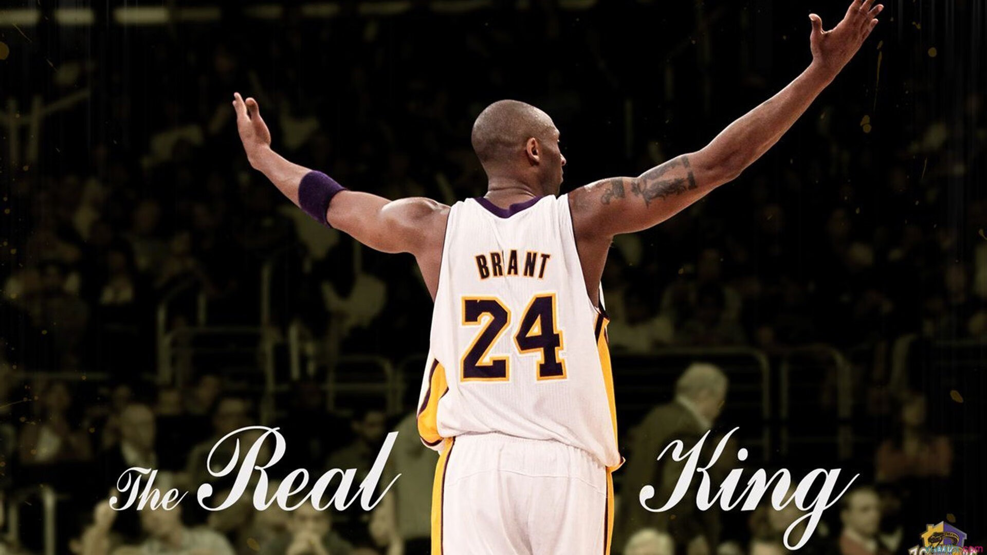 巴西队主帅谈备战计划:目标直指世界杯冠军,巴西队最新主力名单